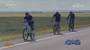 日本职棒交流战为何备受关注